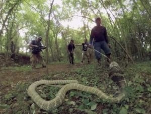 Dominic Monaghan waving from just beyond a real wild King Cobra on Cream 360's Wild Things