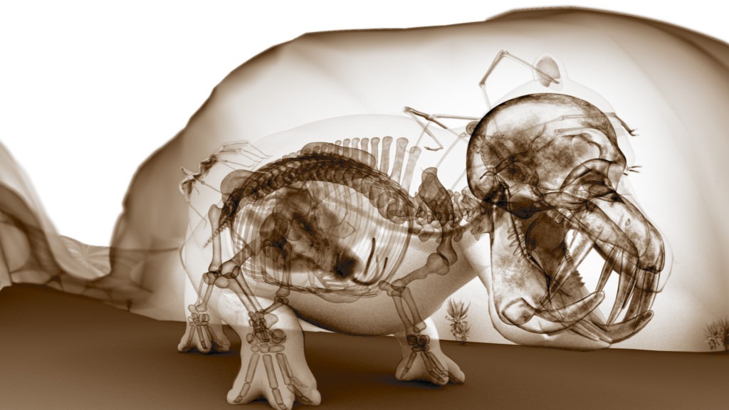 A screenshot of an x-ray of a doglike creature from the VR experience "Hominidae" showing at the FIVARS 2020 Festival