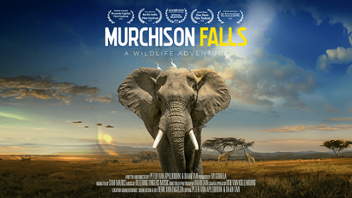 Murchison Falls: A Wildlife Adventure