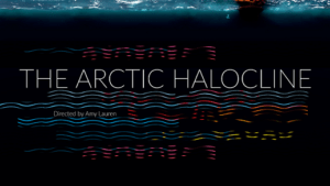 The Arctic Halocline