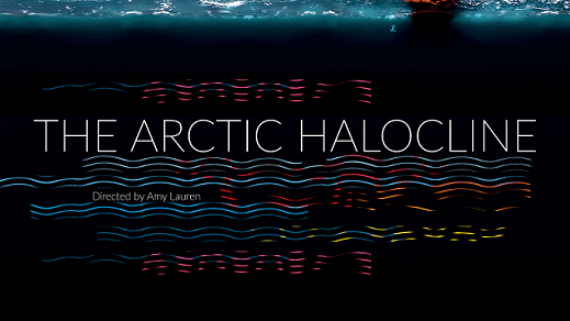 FIVARS 2023: Spotlight on The Arctic Halocline