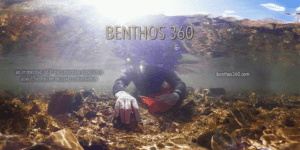 Benthos 360