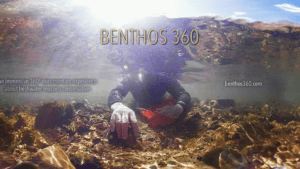 Benthos 360